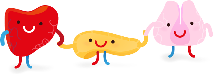 Un Páncreas Feliz Es Un Páncreas Sano - Pancreas Feliz (749x264), Png Download