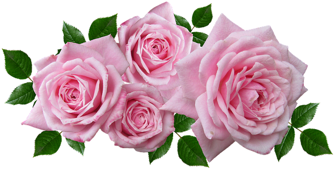 Pink Flower Arrangement Png (659x340), Png Download