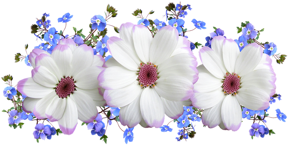 White Flowers Floral Arrangement And Blue 3044088 - Hübsche Blaue Blumen-hochzeits-einladung Modern Karte (960x487), Png Download