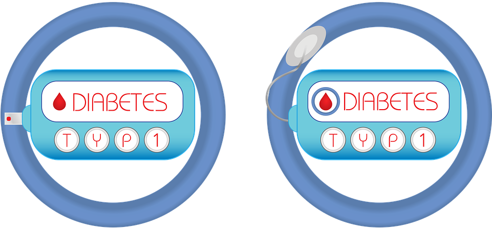 Pancreas - Type 1 Diabetes Png (960x480), Png Download