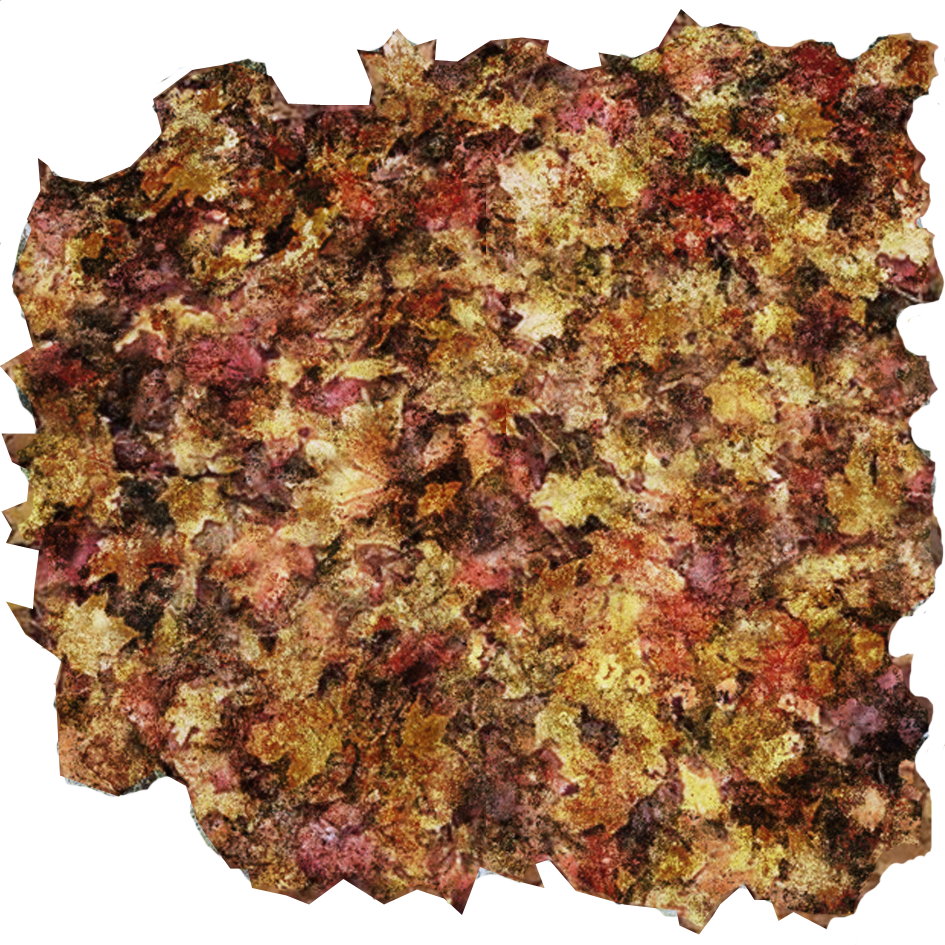 The Gallery For > Fall Leaves Png - Pile Of Leaves Texture Transparent (945x945), Png Download