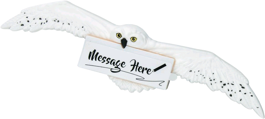 Harry Potter - Hedwig Magnet - Harry Potter Hedwig Magnet (850x383), Png Download