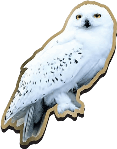 Harry Potter Hedwig Owl Enamel Pin Badge (600x600), Png Download