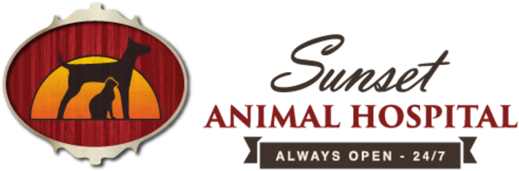 Pet Of The Week - Audacity Of Self Love: Voyage (775x444), Png Download