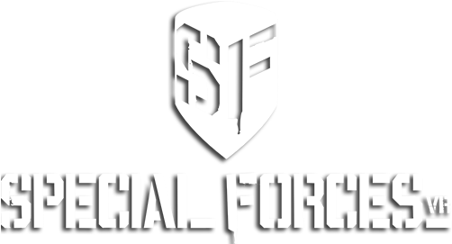 Vr Visio Boast - Aces High (523x270), Png Download