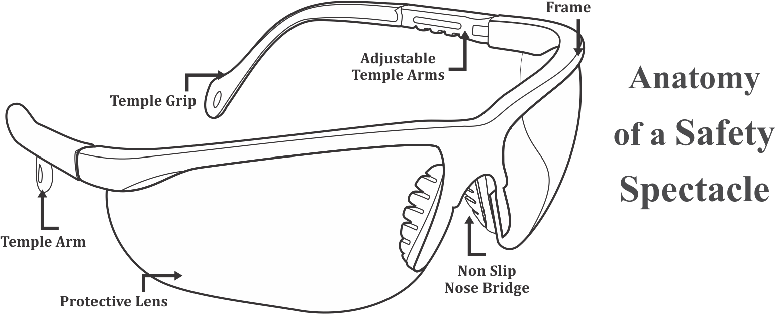 Regardless Of Their Size Or The Durability Of The Frame - Illustration (1542x626), Png Download