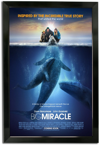 Bass Loc Poster Frame - Big Miracle (380x500), Png Download