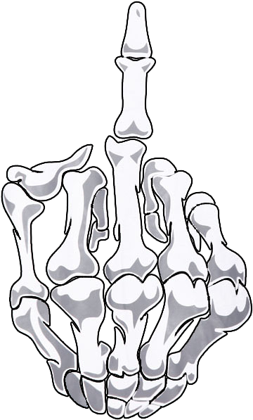 “ Transparent Skeleton Hand Do Not Re-post Or Remove - Hand Skeleton Drawing Aesthetic (800x1084), Png Download