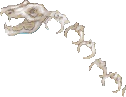 Skeleton Dragon - Death Battle Fanon (440x340), Png Download
