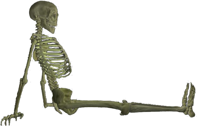 Skeleton Png - Bone (1024x1024), Png Download