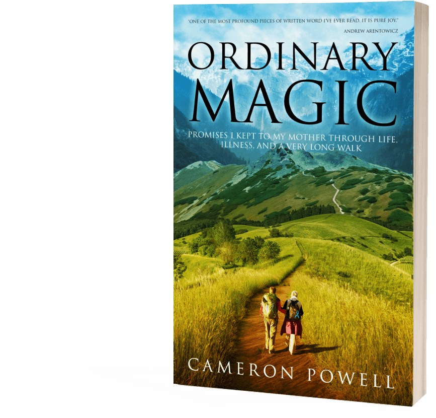 A Terrifying Diagnosis - Ordinary Magic (941x950), Png Download