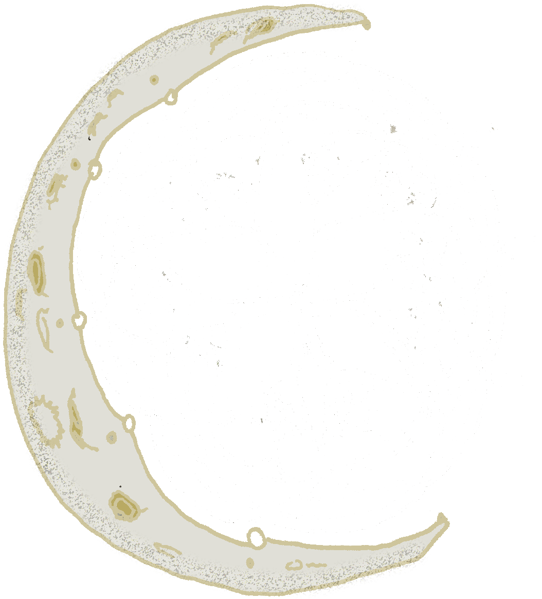 Circle (1320x1332), Png Download