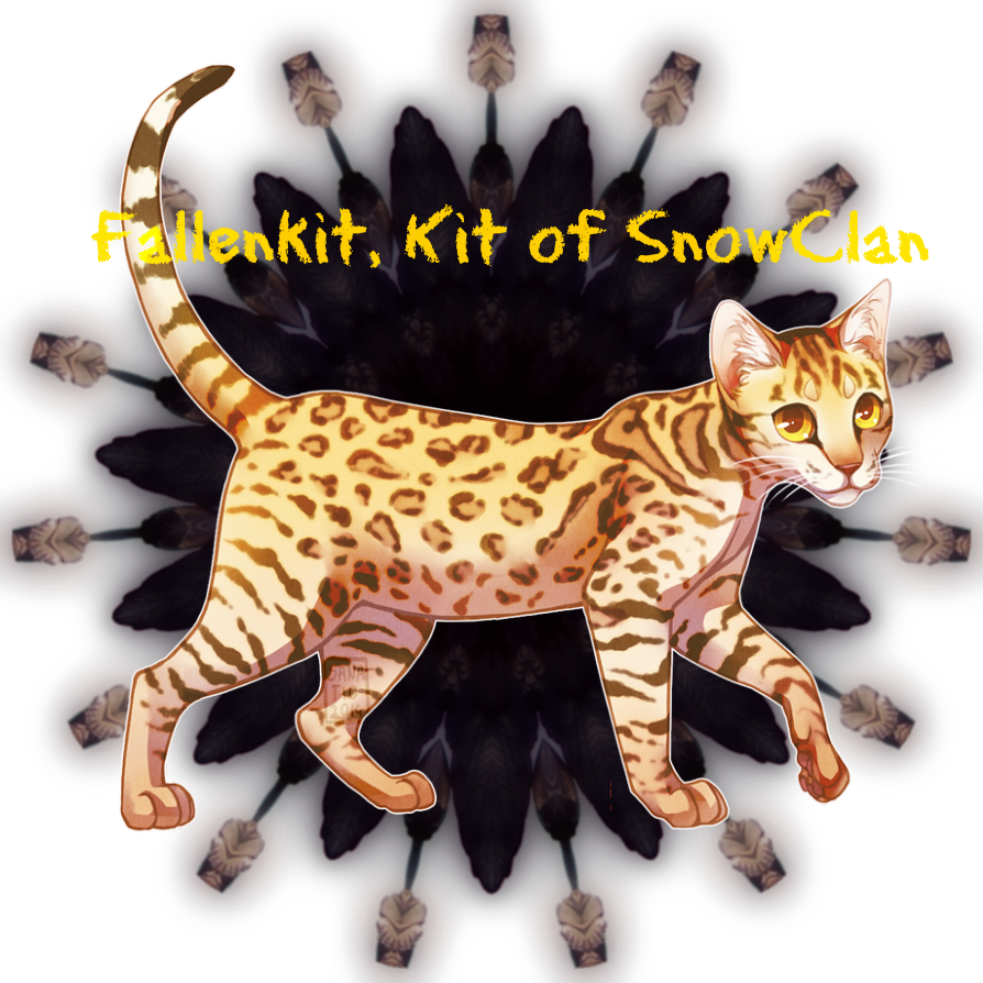 Raven Feather Circle By Scryer41-d5ztmn1 - Cat Grabs Treat (894x894), Png Download