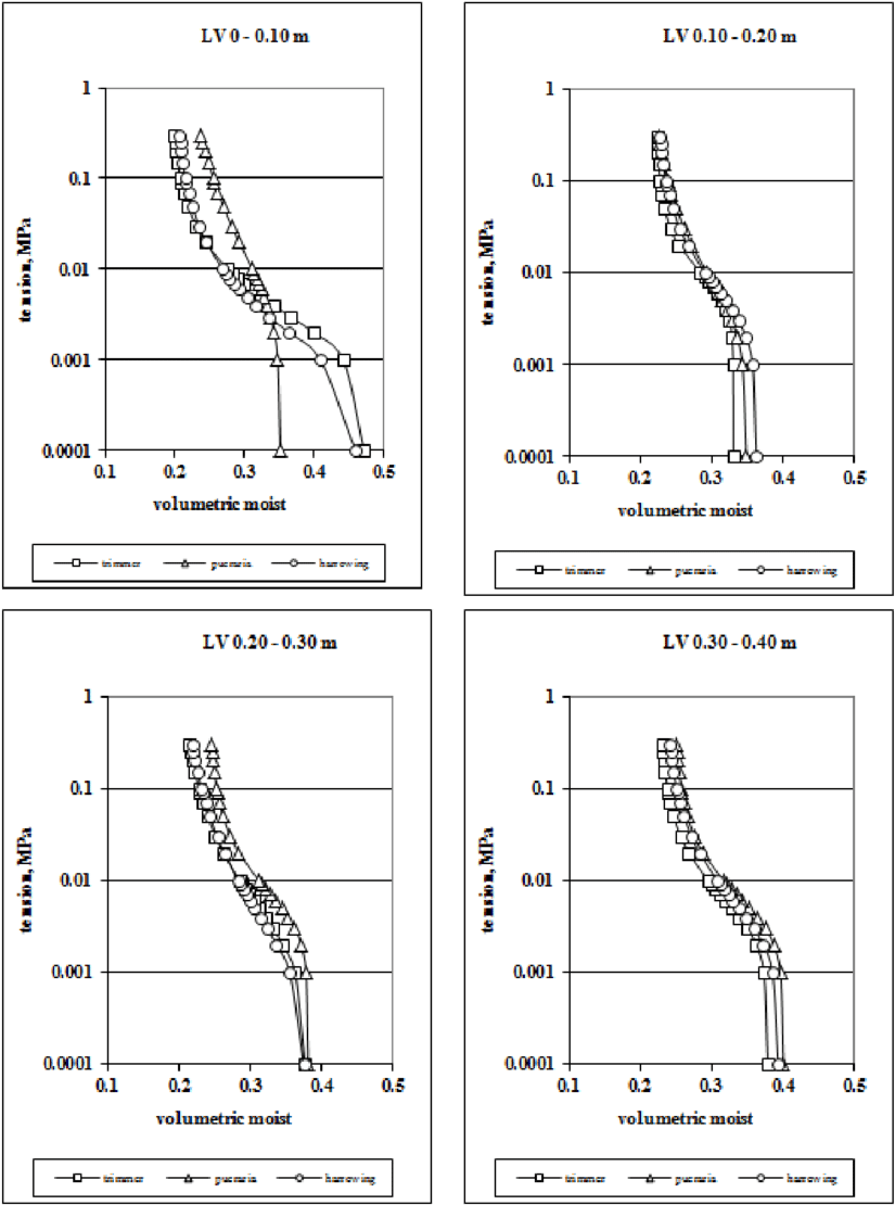 Easy Tree Drawing With Roots (400x400), Png Download