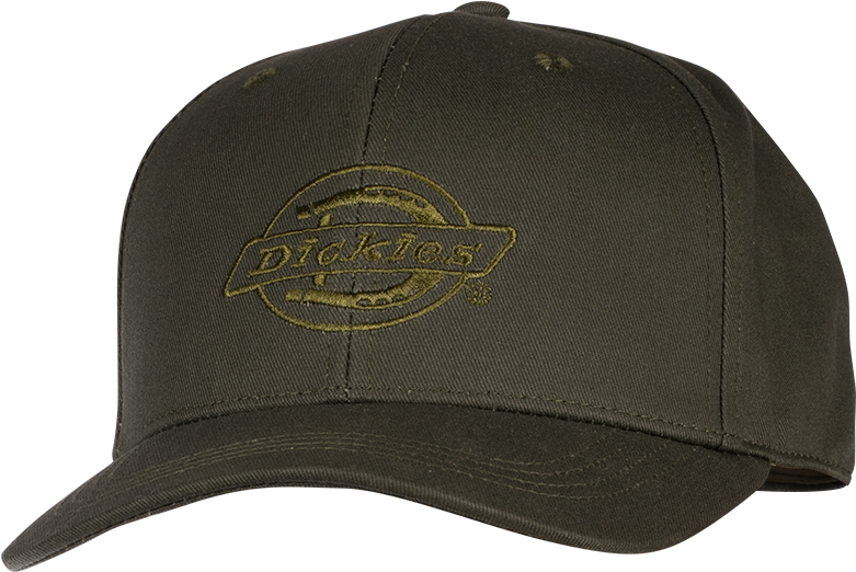 Dickies Logo Peak Cap - Logo (800x800), Png Download