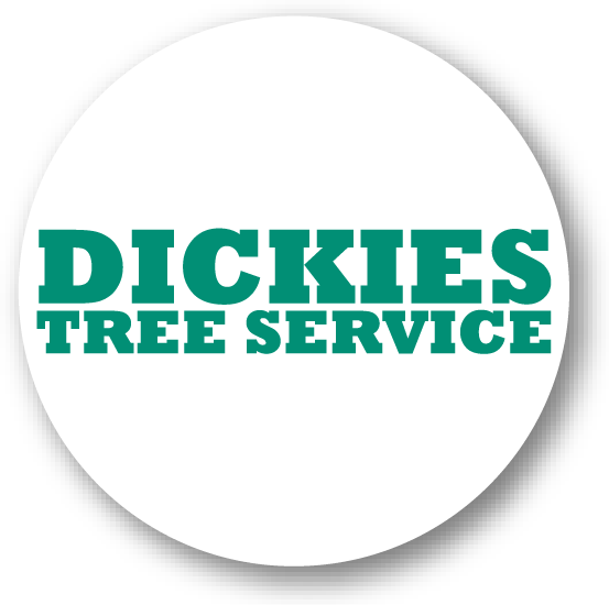 Dickies-02 - Biotechnology (553x550), Png Download