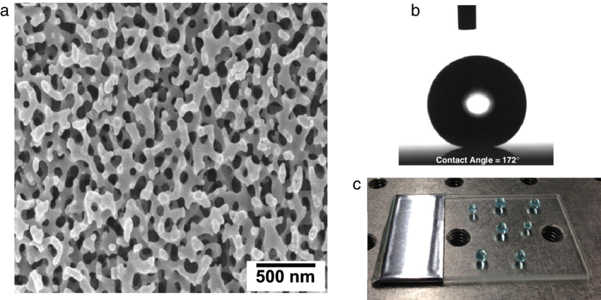 Scanning Electron Microscopy Image Of A Fully Processed - Borosilicate Glass Under A Microscope (850x424), Png Download
