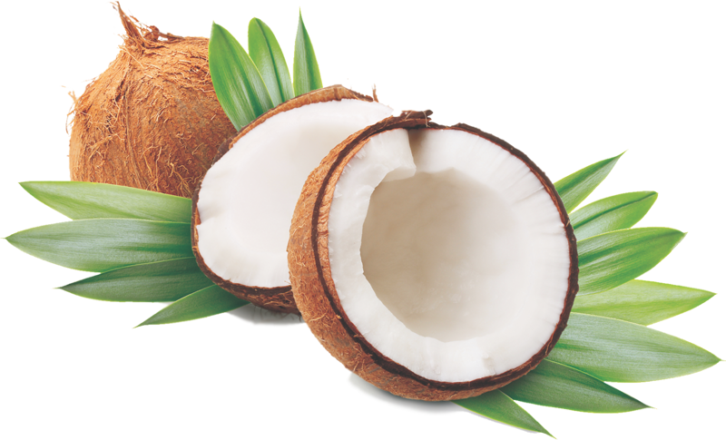 Coconut Oil Is Growing In Popularity As A Product That - Coconut Png (800x485), Png Download