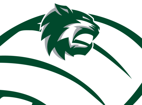 De Soto Volleyball - Desoto Wildcats (480x355), Png Download