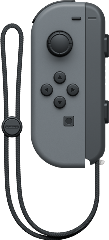 Joy-con - Nintendo Switch - Gray L - Strap - Nintendo Switch Joy Con (640x480), Png Download