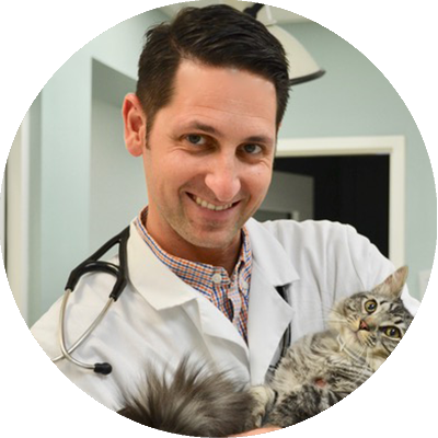 Jay Goldsmith - Park West Veterinary Associates (400x400), Png Download