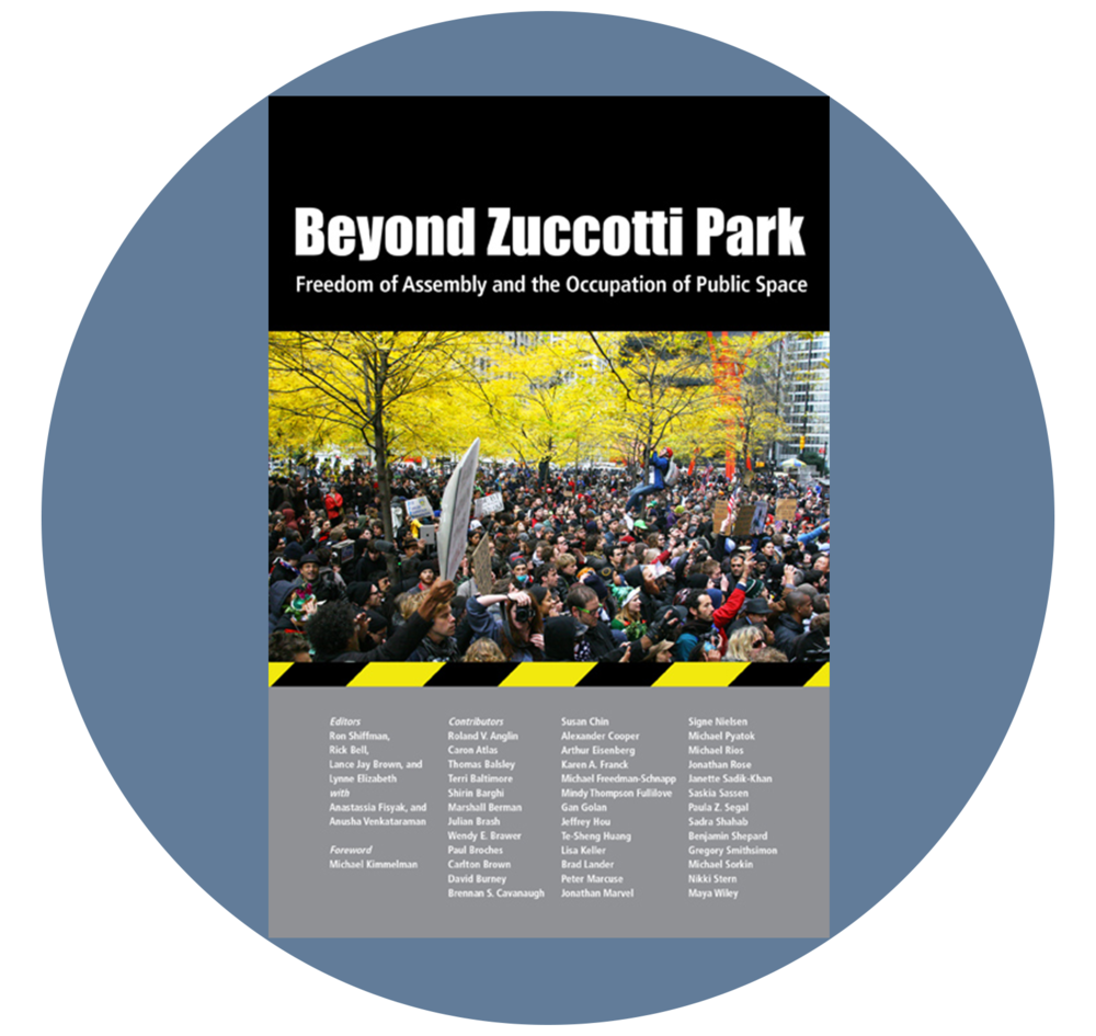 Beyond - Z - Circ - Beyond Zuccotti Park: Freedom Of Assembly (1000x945), Png Download