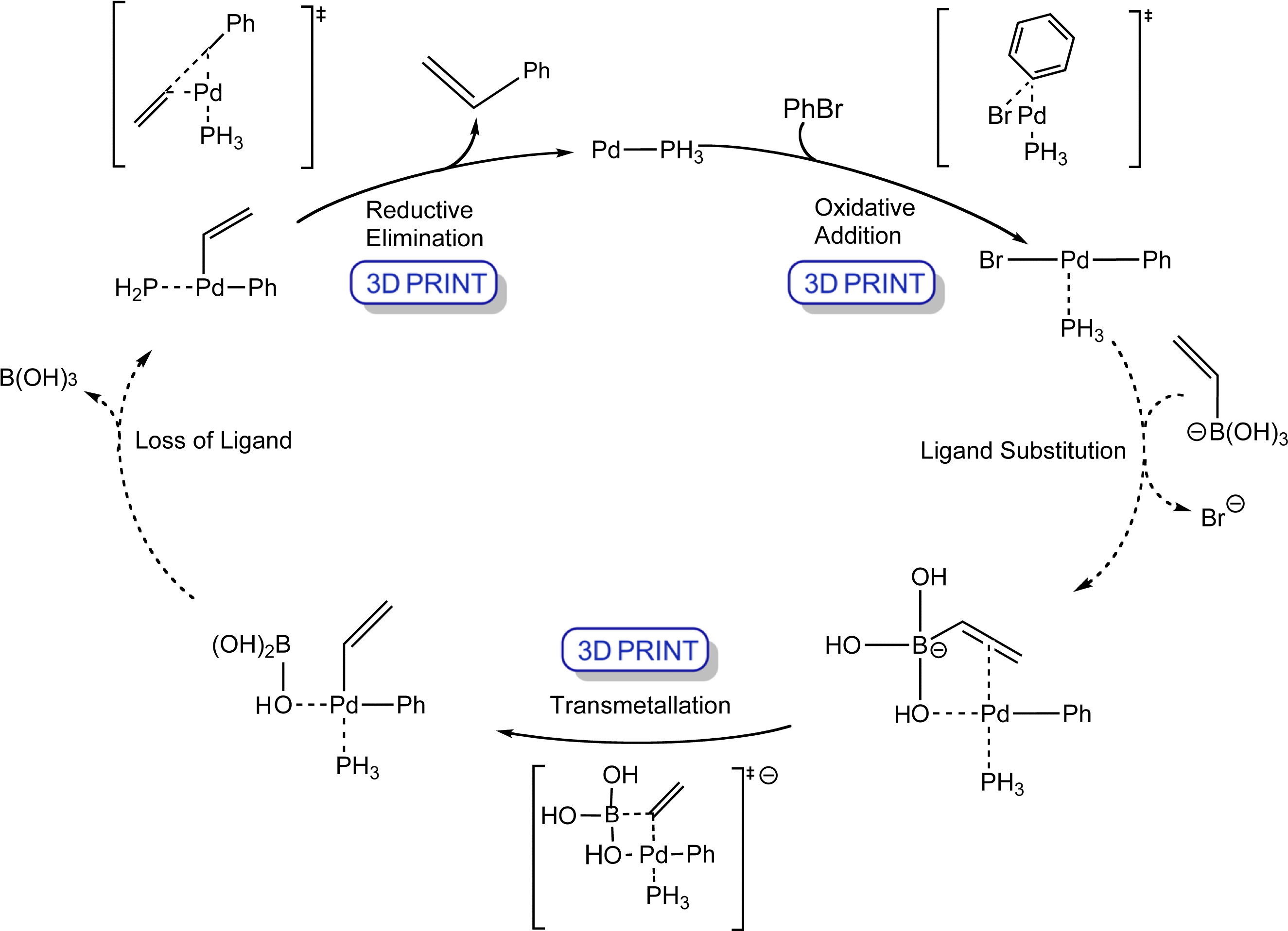 Suzuki Cycle - Suzuki Reaction Mechanism (2671x1932), Png Download