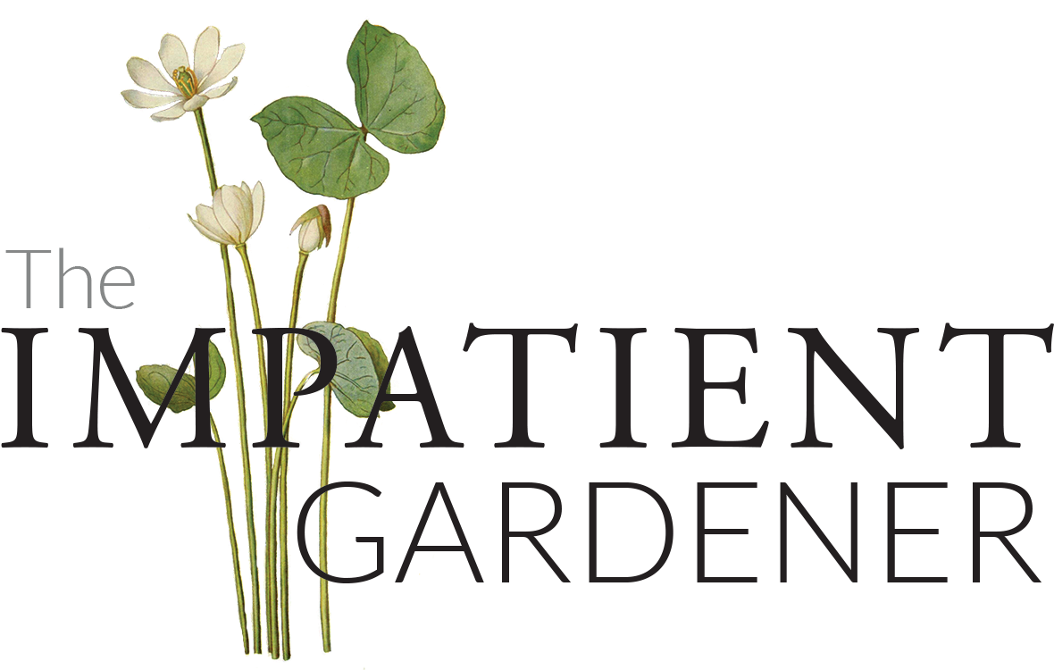 5 Flowers That Are Dead Simple To Grow From Seed - The Impatient Gardener (1223x851), Png Download