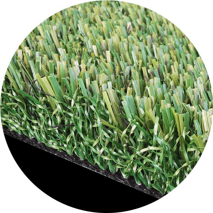 Shortcode Image - Annual Plant (700x700), Png Download