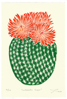 5" X 11" Hand-carved Block Print - Fruit (498x564), Png Download