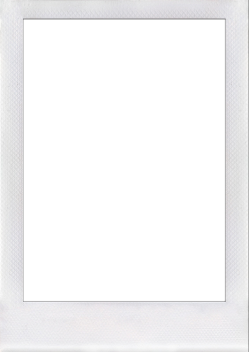 Overlay, Polaroid, And Superimpose Image - 34 X 80 Storm Door (500x707), Png Download