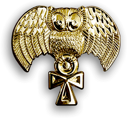 Popular Images - Indian Elephant (800x800), Png Download