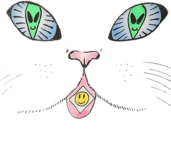 Tumblr Njit8ljnhs1u37tafo1 400 - Cat (335x494), Png Download