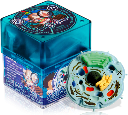 Animal Cell - Iken Joy Red Blood Cell (540x448), Png Download