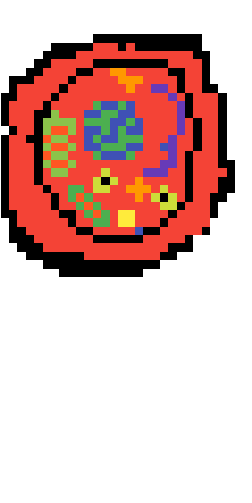 Animal Cell - Circle (1200x1200), Png Download