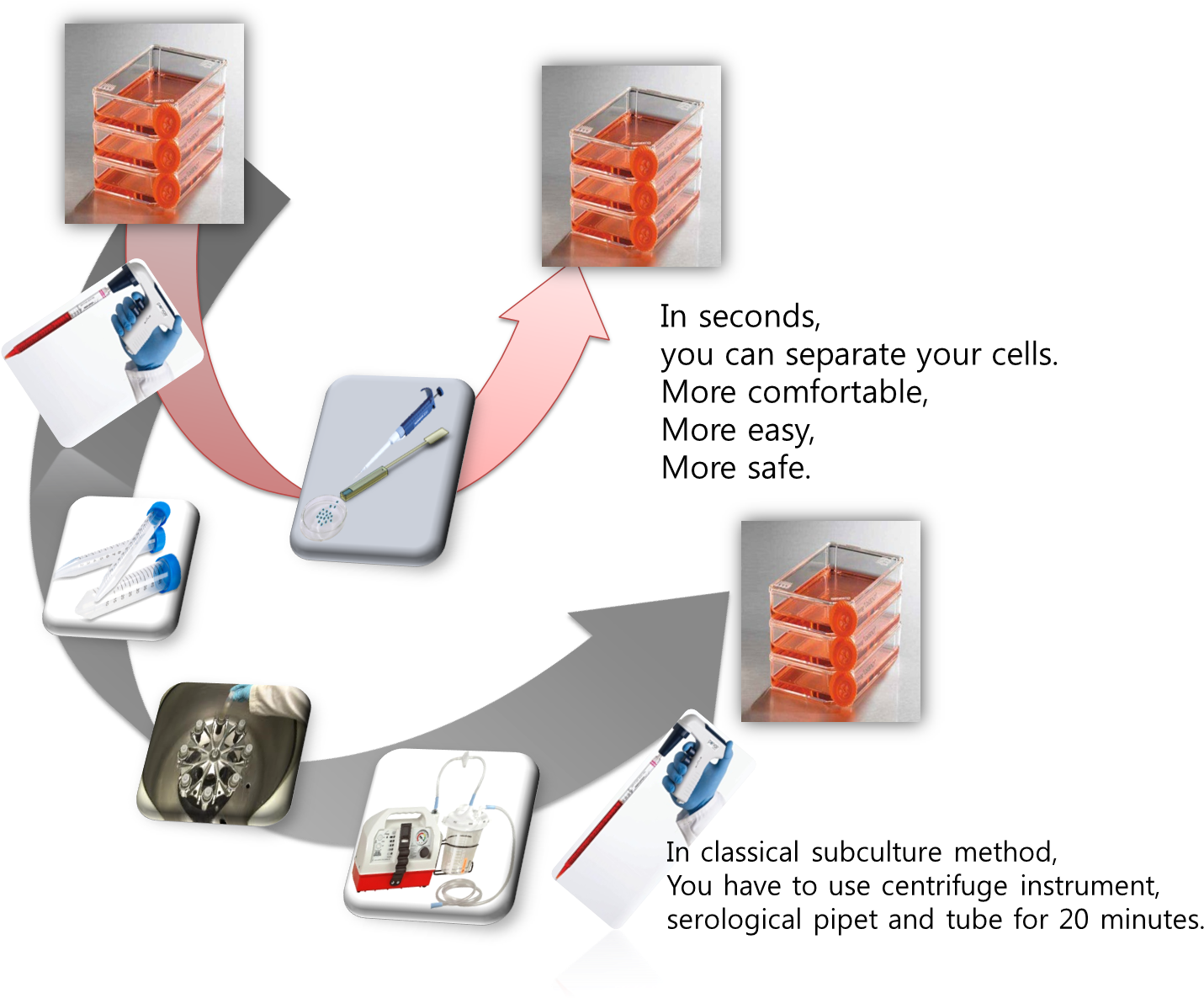 In 15~20 Seconds, You Can Separate Your Animal Cells - Cell Subculture (1629x1373), Png Download