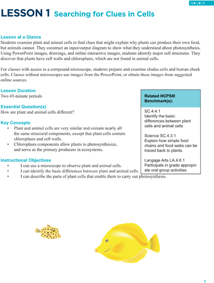 Searching For Clues In Cells - New York University School Of Law (440x570), Png Download