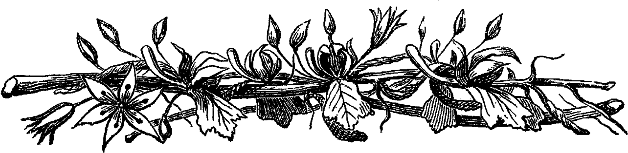 Garlic Bread Black And White Clip Art - Transparent Borders Flower Black And White (1600x543), Png Download