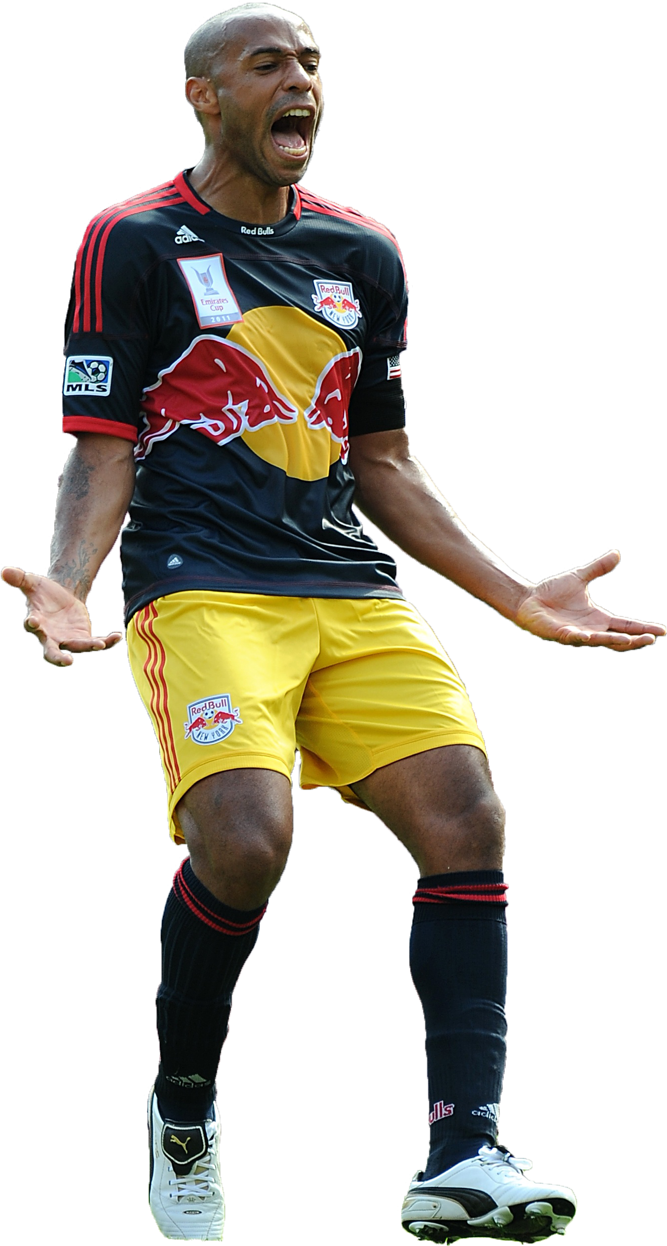 Thierry Henry (1871x2805), Png Download
