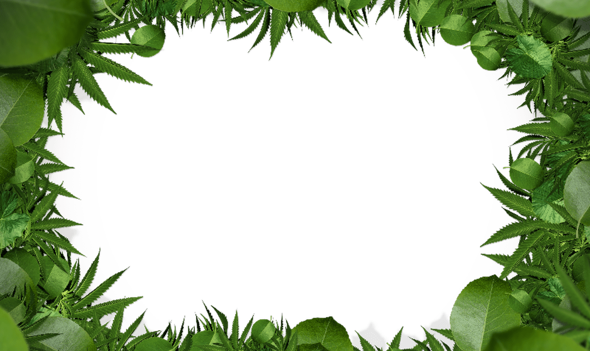 Nature Green Leaf Border Png Clipart Free Download - Fepam Maconha (1200x715), Png Download