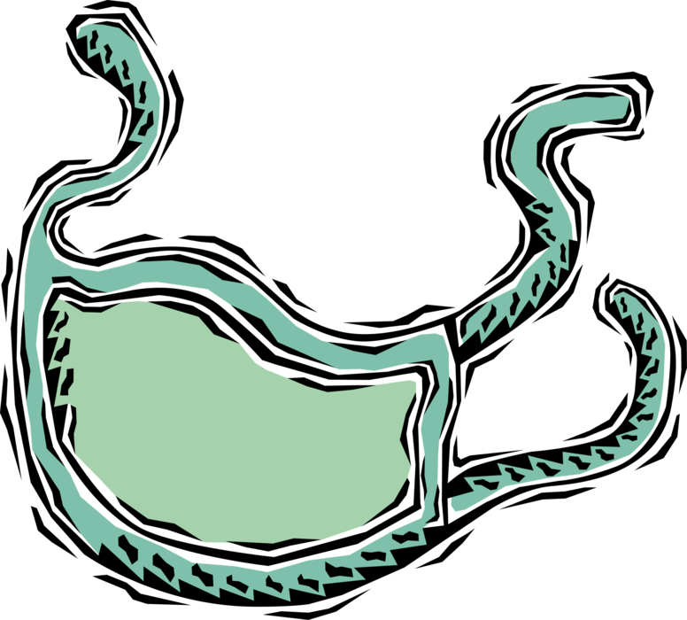 Vector Illustration Of Health Care Professional Doctor (776x700), Png Download