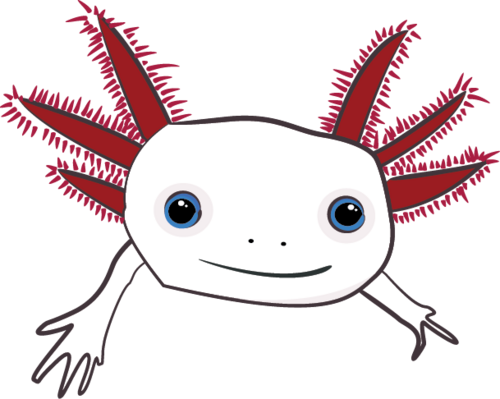 Axolotl Ent - (500x399), Png Download