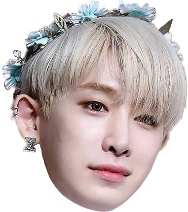Monsta X Wonho Pink (381x429), Png Download