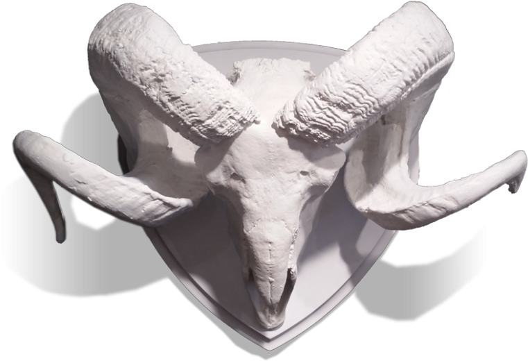 Gold Leaf Design Group Resin Ram Skull With Horns On - Skull (800x775), Png Download