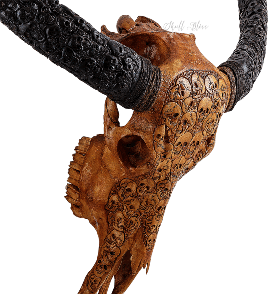 Carved Buffalo Skull // Carved Horns - Antique (600x600), Png Download