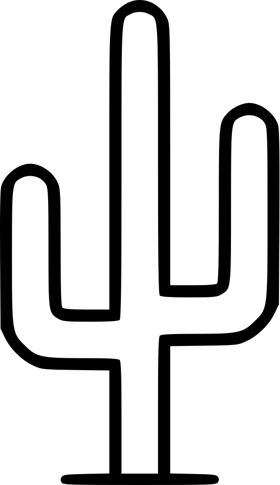 Desert Cactus - (565x980), Png Download