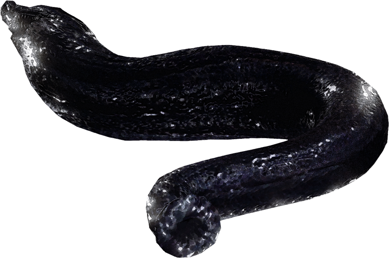 File History - Little Nightmares Shoe Monster (1356x900), Png Download