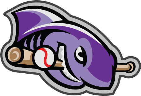 Shark - Martha's Vineyard Sharks (800x800), Png Download