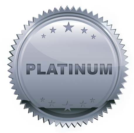 Platinum Corporate Sponsor - Platinum Sponsor (458x452), Png Download