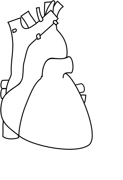 Heart Outline - Survivor Heart Valve Dissection Cardiovascular Marfan (396x594), Png Download